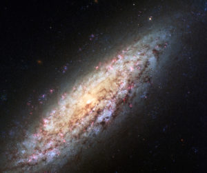 Lonely Galaxy Lost in Space