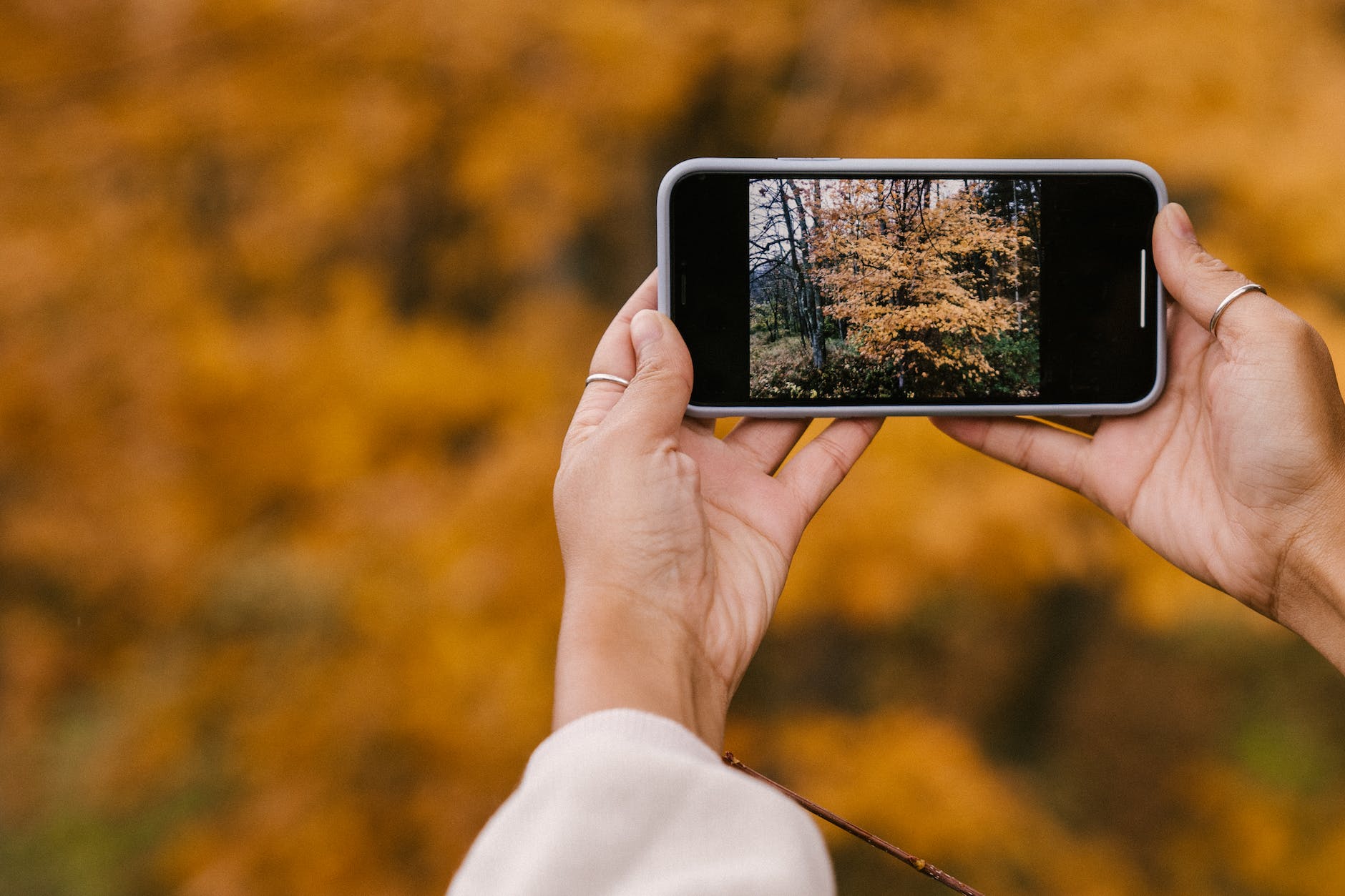 crop faceless woman taking photo of scenic autumn park